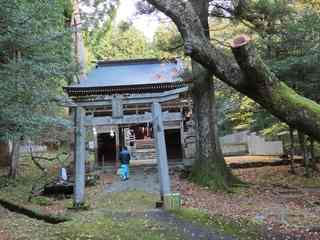 大宮八幡神社.jpg