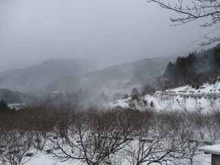雪景色４.JPG