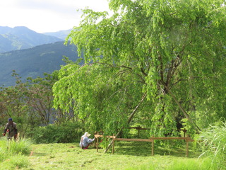 IMG_6304.JPG