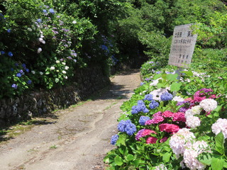 IMG_6355.JPG