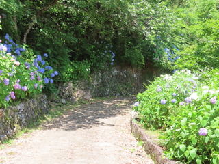 IMG_6357.JPG