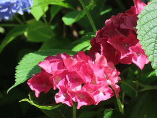 IMG_6358.JPG
