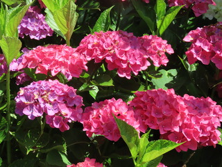 IMG_6363.JPG