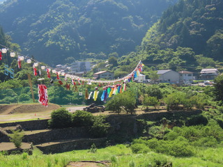 IMG_6518.JPG